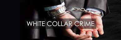 Difference between white collar crime and economic crime