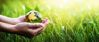 Environmental law in India